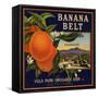 Banana Belt Brand - Villa Park, California - Citrus Crate Label-Lantern Press-Framed Stretched Canvas