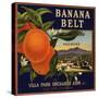 Banana Belt Brand - Villa Park, California - Citrus Crate Label-Lantern Press-Stretched Canvas