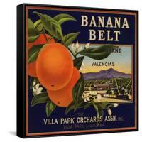 Banana Belt Brand - Villa Park, California - Citrus Crate Label-Lantern Press-Framed Stretched Canvas