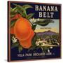 Banana Belt Brand - Villa Park, California - Citrus Crate Label-Lantern Press-Stretched Canvas