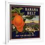 Banana Belt Brand - Villa Park, California - Citrus Crate Label-Lantern Press-Framed Art Print