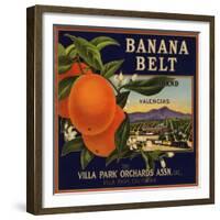 Banana Belt Brand - Villa Park, California - Citrus Crate Label-Lantern Press-Framed Premium Giclee Print