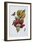 Banana Blossom Illustration from the Little Book of Wonders of the Tropics-null-Framed Premium Giclee Print