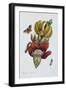 Banana Blossom Illustration from the Little Book of Wonders of the Tropics-null-Framed Premium Giclee Print