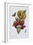 Banana Blossom Illustration from the Little Book of Wonders of the Tropics-null-Framed Premium Giclee Print