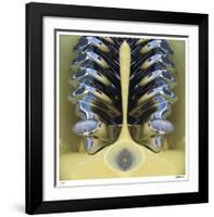 Banana Boat-Donald Satterlee-Framed Giclee Print