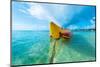 Banana Boat-Tifonimages-Mounted Photographic Print