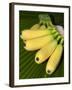 Banana Bunch (Musa Acuminata, Musa Balbisiana), Phuket, Thailand-Nico Tondini-Framed Premium Photographic Print