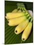 Banana Bunch (Musa Acuminata, Musa Balbisiana), Phuket, Thailand-Nico Tondini-Mounted Premium Photographic Print