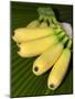 Banana Bunch (Musa Acuminata, Musa Balbisiana), Phuket, Thailand-Nico Tondini-Mounted Photographic Print