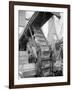 Banana Conveyors in Operation, New Orleans, La.-null-Framed Photo