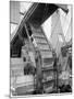 Banana Conveyors in Operation, New Orleans, La.-null-Mounted Photo