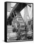 Banana Conveyors in Operation, New Orleans, La.-null-Framed Stretched Canvas