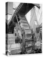 Banana Conveyors in Operation, New Orleans, La.-null-Stretched Canvas