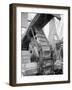 Banana Conveyors in Operation, New Orleans, La.-null-Framed Photo