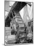 Banana Conveyors in Operation, New Orleans, La.-null-Mounted Photo