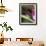 Banana Flower and Lizard, Jardin de Balata, FWI-Walter Bibikow-Framed Photographic Print displayed on a wall