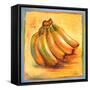 Banana I-Patricia Pinto-Framed Stretched Canvas