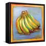 Banana II-Patricia Pinto-Framed Stretched Canvas