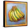 Banana II-Patricia Pinto-Framed Stretched Canvas