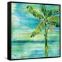 Banana Lagoon II-Paul Brent-Framed Stretched Canvas