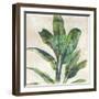 Banana Leaf I-Jacob Q-Framed Art Print