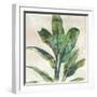 Banana Leaf I-Jacob Q-Framed Art Print