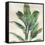 Banana Leaf I-Jacob Q-Framed Stretched Canvas