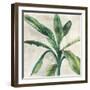 Banana Leaf II-Jacob Q-Framed Art Print