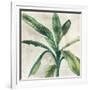 Banana Leaf II-Jacob Q-Framed Art Print