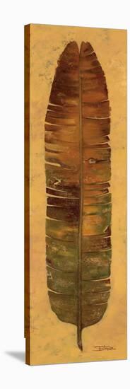 Banana Leaf III-Patricia Pinto-Stretched Canvas