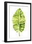 Banana Leaf Study I-Grace Popp-Framed Art Print