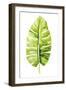 Banana Leaf Study II-Grace Popp-Framed Art Print