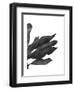 Banana Leaves 1, Black on White-Fab Funky-Framed Art Print