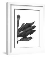 Banana Leaves 1, Black on White-Fab Funky-Framed Art Print