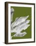 Banana Leaves 1, White On Green-Fab Funky-Framed Art Print