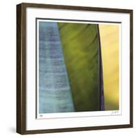 Banana Leaves I-Joy Doherty-Framed Giclee Print