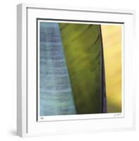 Banana Leaves I-Joy Doherty-Framed Giclee Print