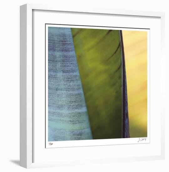 Banana Leaves I-Joy Doherty-Framed Giclee Print