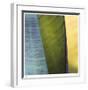 Banana Leaves I-Joy Doherty-Framed Giclee Print