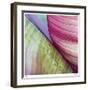 Banana Leaves II-Joy Doherty-Framed Giclee Print