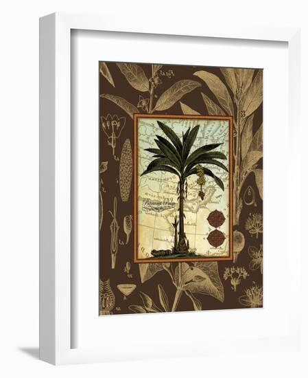 Banana Palm (Brown)-Karl Rattner-Framed Art Print