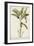 Banana Palm I-0 Unknown-Framed Art Print