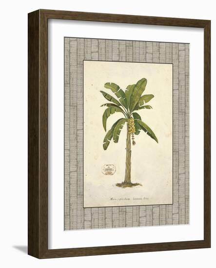 Banana Palm Illustration-Arnie Fisk-Framed Art Print