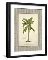 Banana Palm Illustration-Arnie Fisk-Framed Art Print
