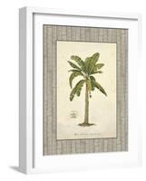 Banana Palm Illustration-Arnie Fisk-Framed Art Print