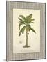 Banana Palm Illustration-Arnie Fisk-Mounted Art Print