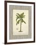 Banana Palm Illustration-Arnie Fisk-Framed Art Print