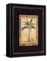 Banana Palm-Chad Barrett-Framed Stretched Canvas