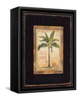 Banana Palm-Chad Barrett-Framed Stretched Canvas